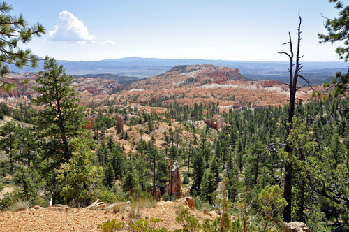 Bryce Canyon